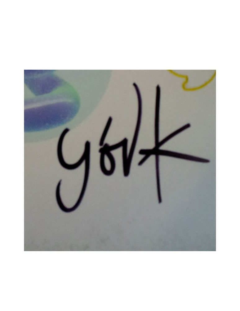 Disco vinyl firmado o autografiado por la cantante Björk álbum "Lionsong"
